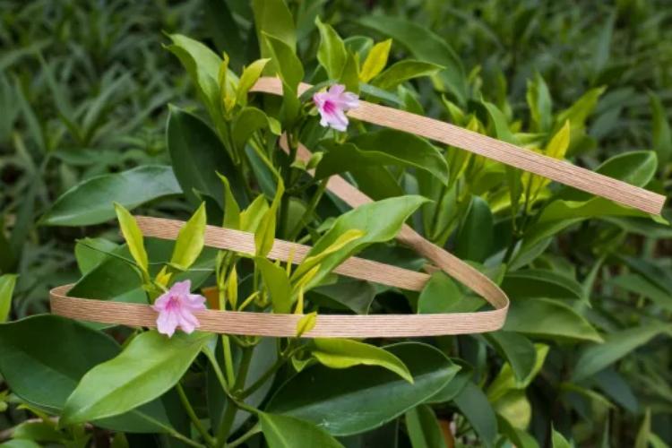 使用后環(huán)保可降解的紙打包帶